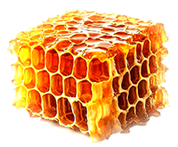 Honey-Shan