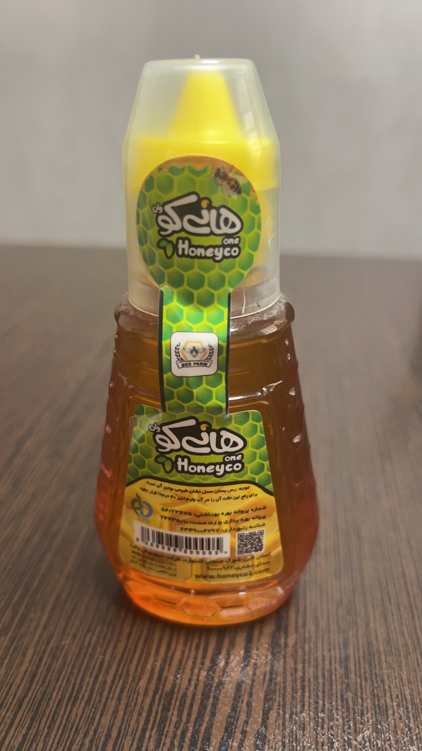 عسل 250 گرمی ممتاز- پمپی - تصویر 7